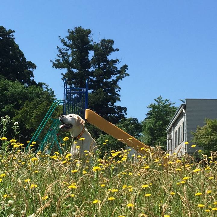 925ce36f 7de4 4d29 b792 76879060baac 1615963481065