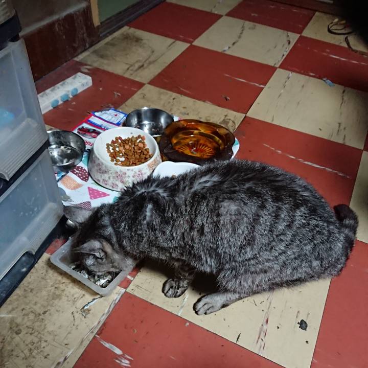 925cf4a3 1131 46f9 b2eb 4dc6ad76cf4d 1595968640240