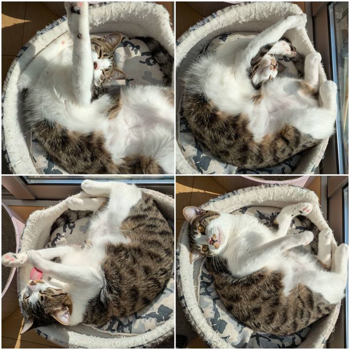 925d02b7 2d27 476d 9057 296380d147ce 1746180890824