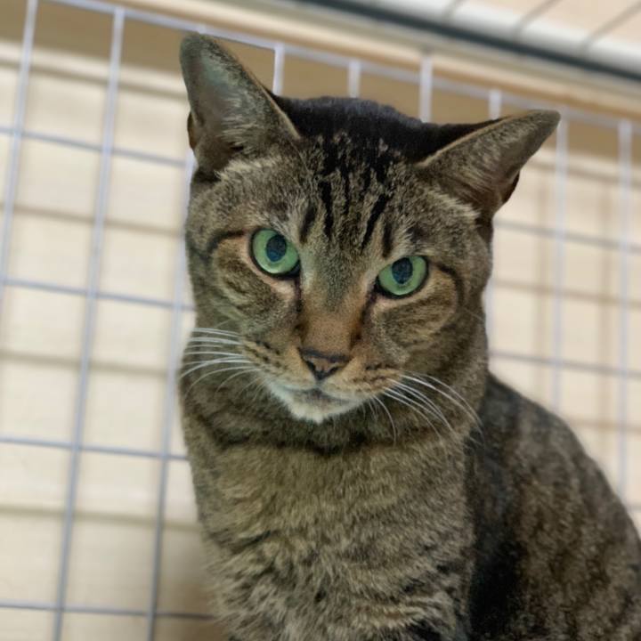 925d08d3 9430 4b43 b5b5 0af4d9b6a0c9 1539221298223