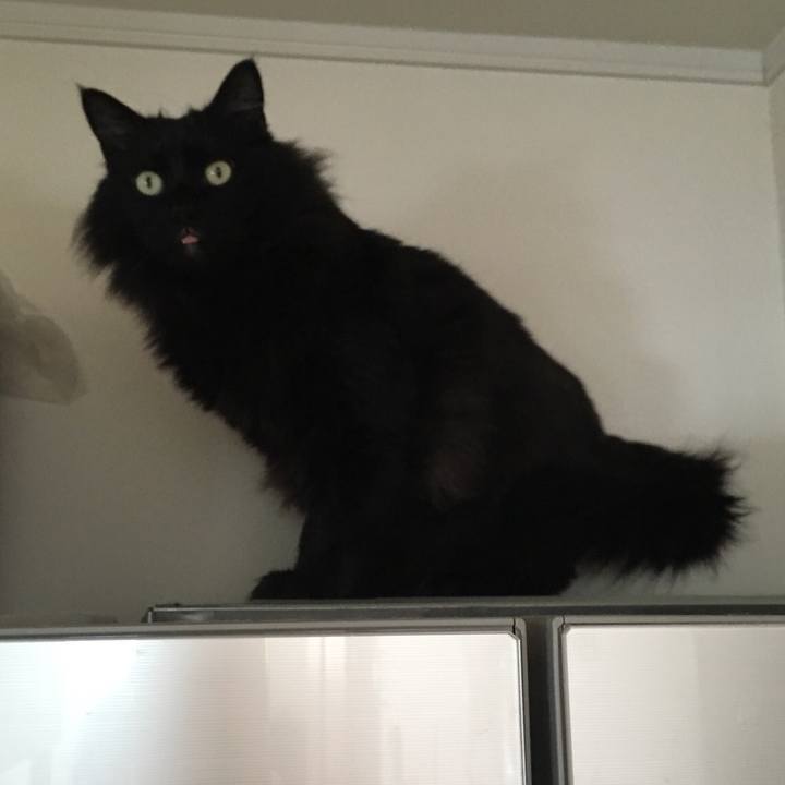 925d2b36 b12c 4177 8f4e 27e56f826f9e 1552232398981