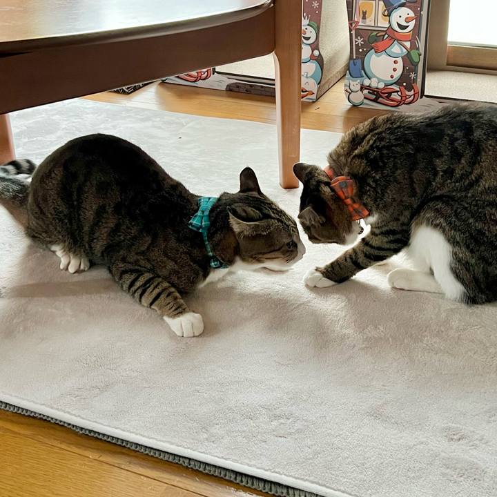 925d71e3 2d08 4b4e 8862 2ddc9fadc2a1 1744952203404