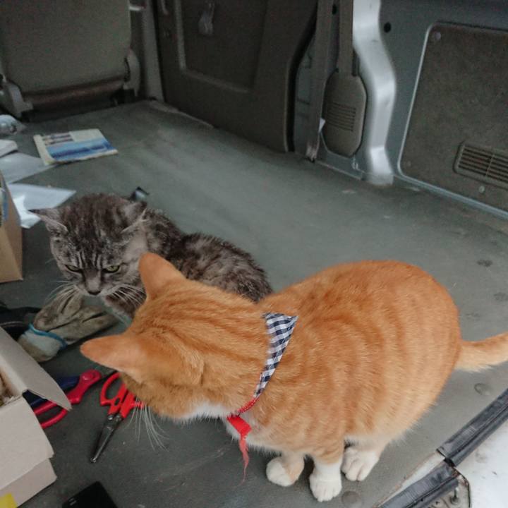 925d769b 3bf7 416a 8381 707794168007 1569054921531