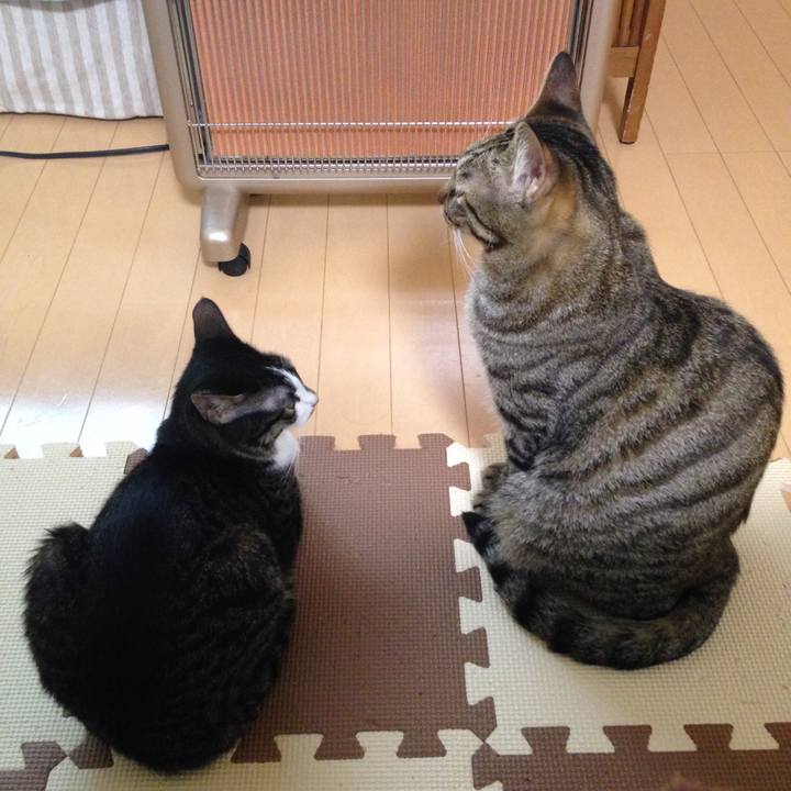 925d869b b485 4032 a823 6820d3858e1b 1511405464819