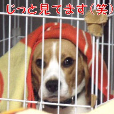 925d8c4f 3502 4ec8 87ad 022240e5ce64 1705976152143