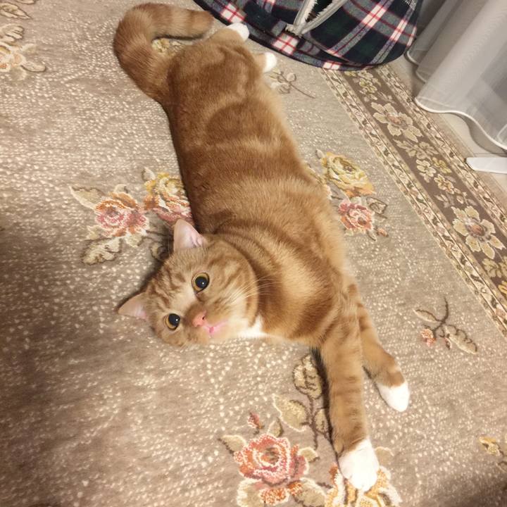 925dda6f 08d0 4a4e a2ad f5649af82dca 1519171634244