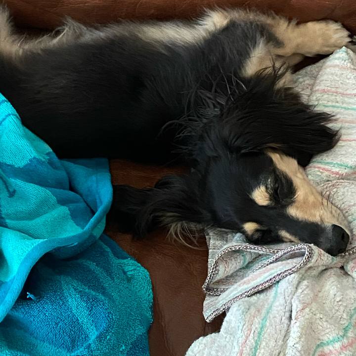 925ddb63 10c6 461f 8121 563de8f07c60 1755561877361