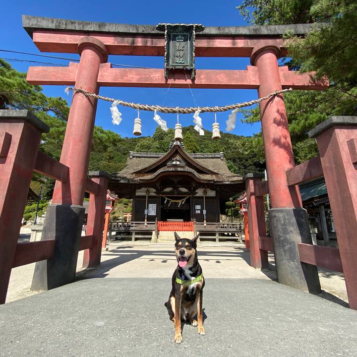 925de80e 79fb 4255 9f8f c345e2cf61c6 1633518589457