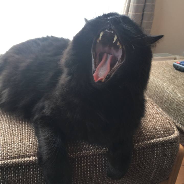 925e0212 5fed 451e 9eea 7b9dc55d55f5 1531379983916