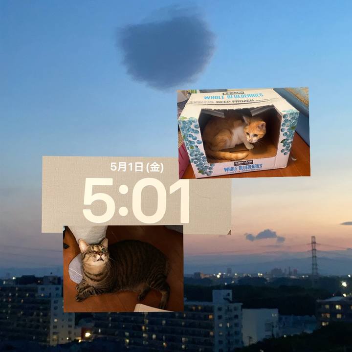 925e02e5 12da 4df3 8852 ecdd0f79a7ca 1777622684560