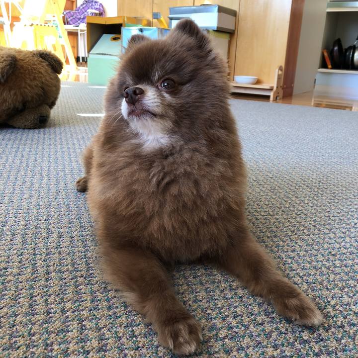 925e08c8 a822 4137 914c 4104ac575b1a 1540006268825