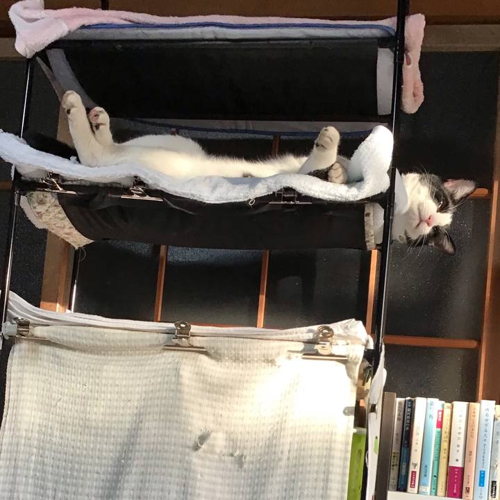 925e5088 5755 4153 b231 b2bedc007241 1643324202516