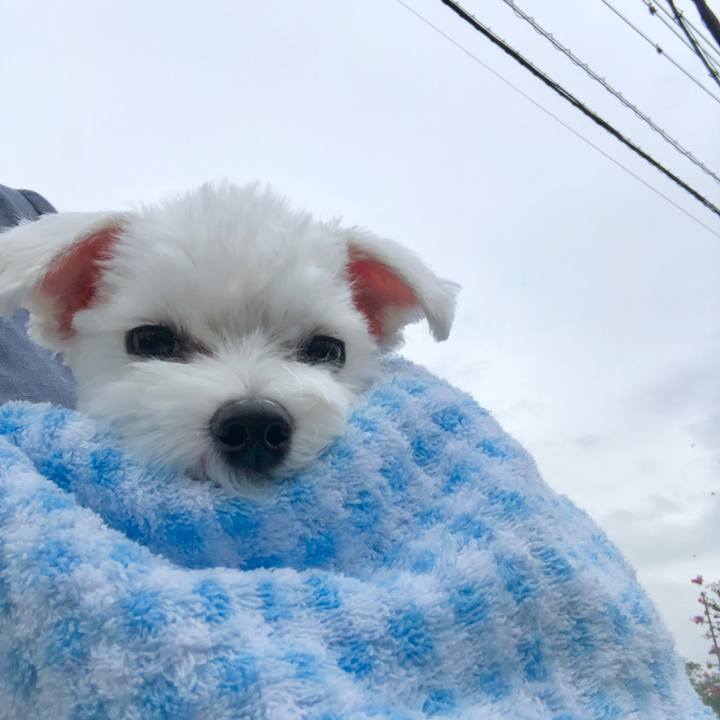 925e864e 6ae5 4e3d 8d18 137120b96e92 1568334350427