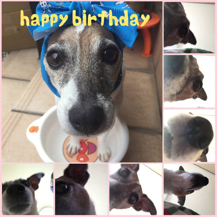 925e8c1a 9e80 4dd4 b7f0 6568ebe3eb8f 1754440592954