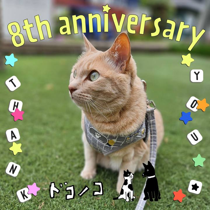 925ea757 b256 47c0 8528 5b8298577915 1717557971047