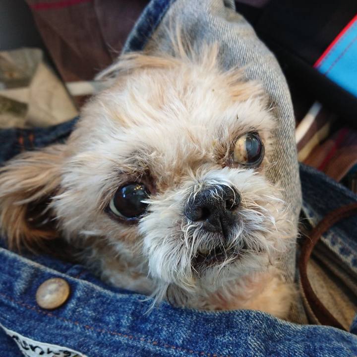 925eb78d 43fb 4644 87e2 3040f3c4dfd1 1554068145001