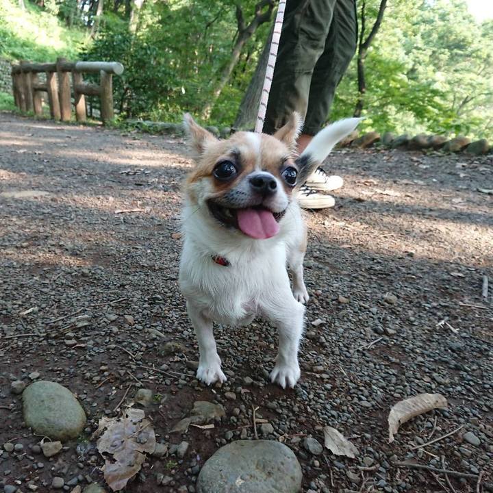 925ef8fc 64e2 4fd5 9ae1 91b3c8c48c0a 1531701235551