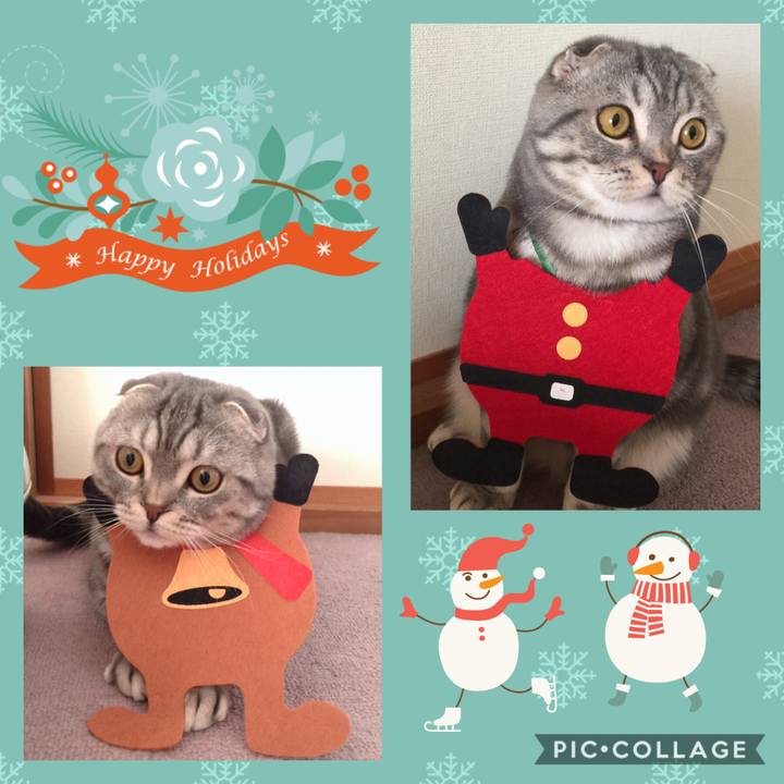 925f229d 9f4e 4a08 ab42 9d7b2798eddd 1608598984572