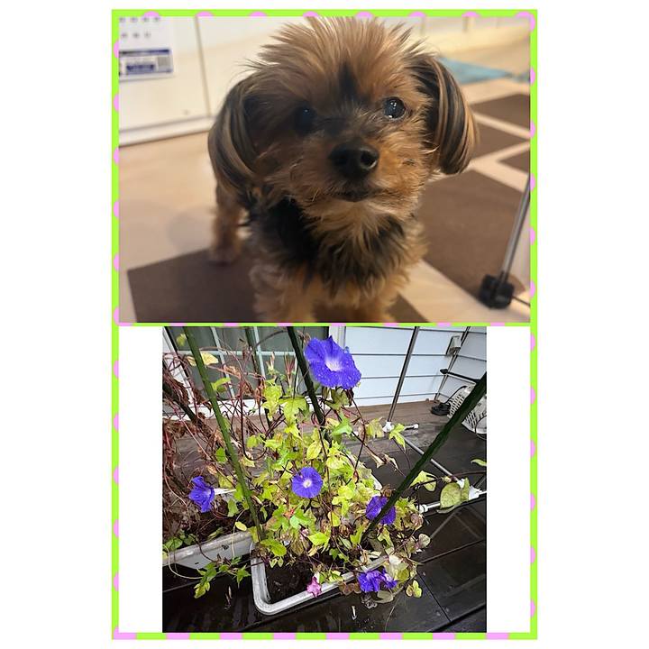 925f3df7 e21f 41f6 a485 a84bd52e95c6 1760908920357