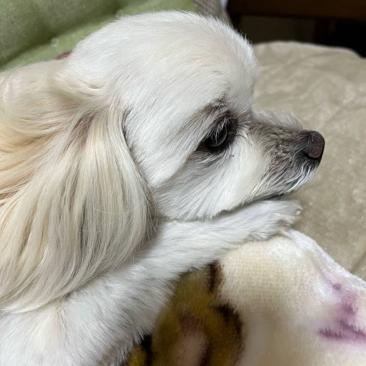 925f723c e1ca 447c 8486 4ac98df56bb3 1669719653757