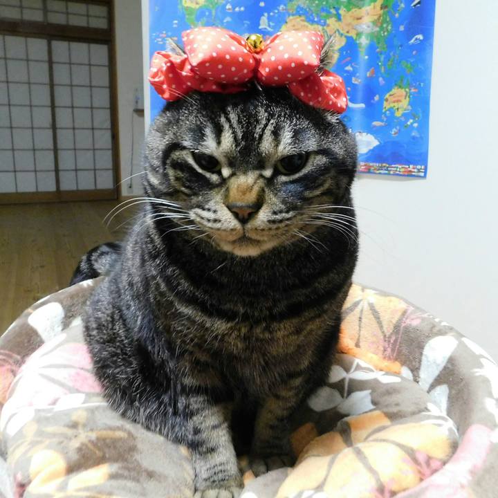 925f9229 78a9 4811 980b 039cada85f82 1519923133766