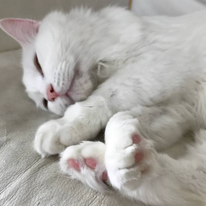 925fb534 89d6 42cd a843 bcfe90dad8d5 1529760811075