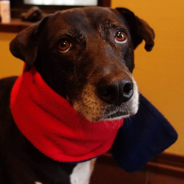 925fd6f8 10e3 4848 b341 063e383af752 1731114965530