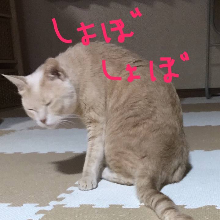 925fe4d2 e5d1 4f04 afdc 461b8e715187 1508938611209