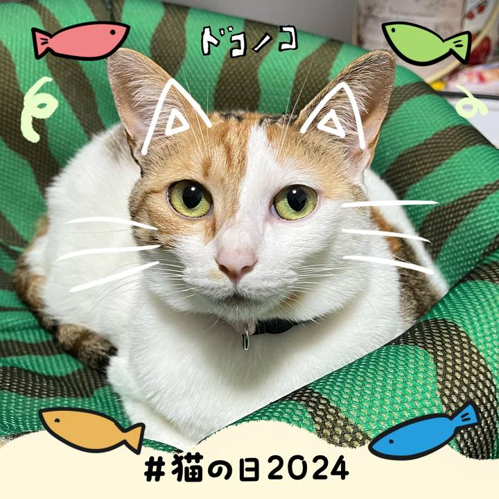 925ffe1f 3dcf 44a8 89dd d071812abd3f 1708610320169