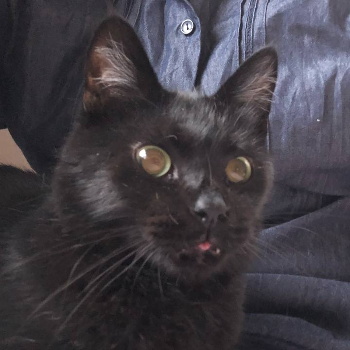 92600387 fb1d 481d b5a6 d39276c21ecf 1562925084609