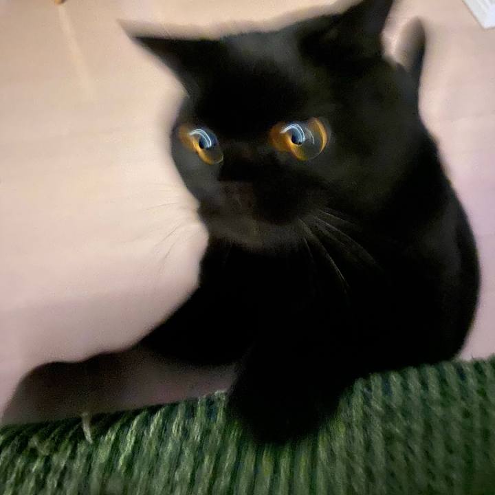 9260152b b106 49f5 8f95 544aaedc463a 1699443244711