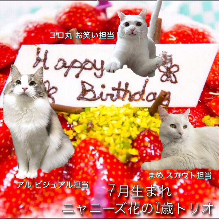 92602780 df9c 40f4 9ebf 619b91fb4b11 1531733759566