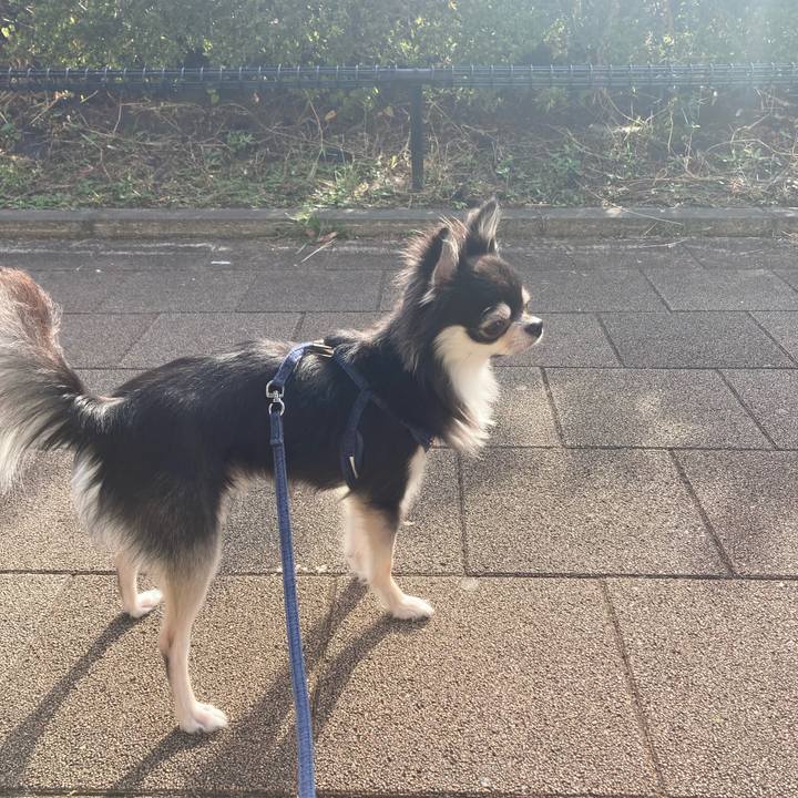 92609109 f9e5 4f95 ba70 9afd4a2e2106 1636257123228