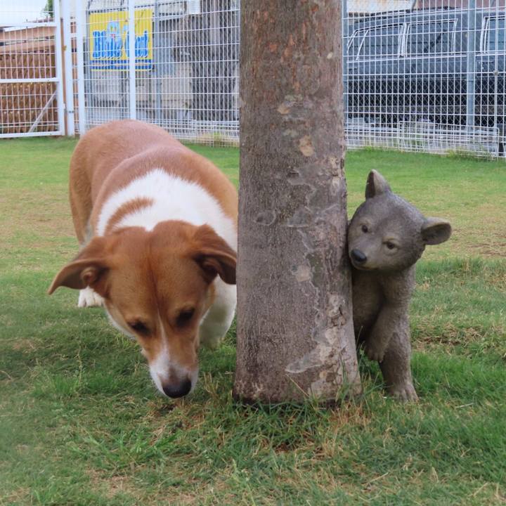 9260b94c ecb9 4e48 affc 1905a8e5cbfd 1621293010896