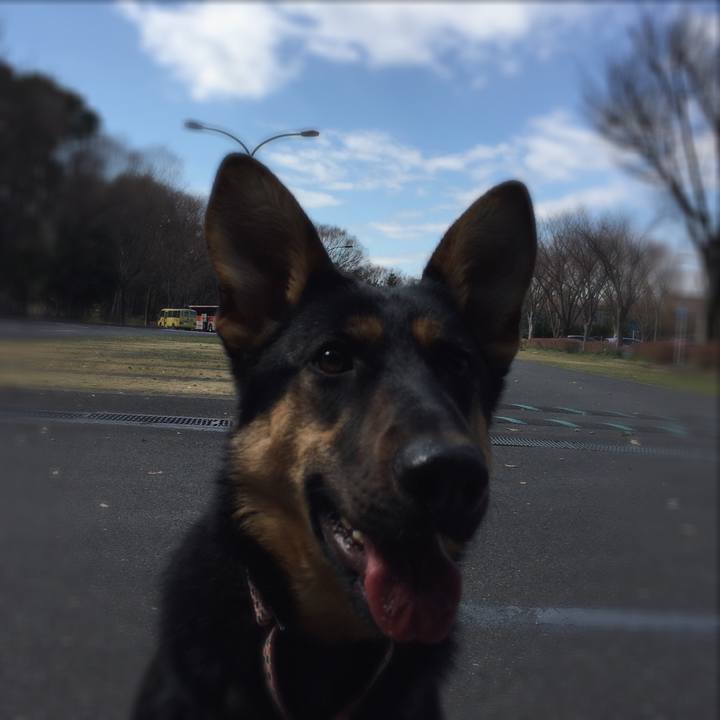 9260ca4e 51a4 43f5 a35a 5653c1359762 1520306146979