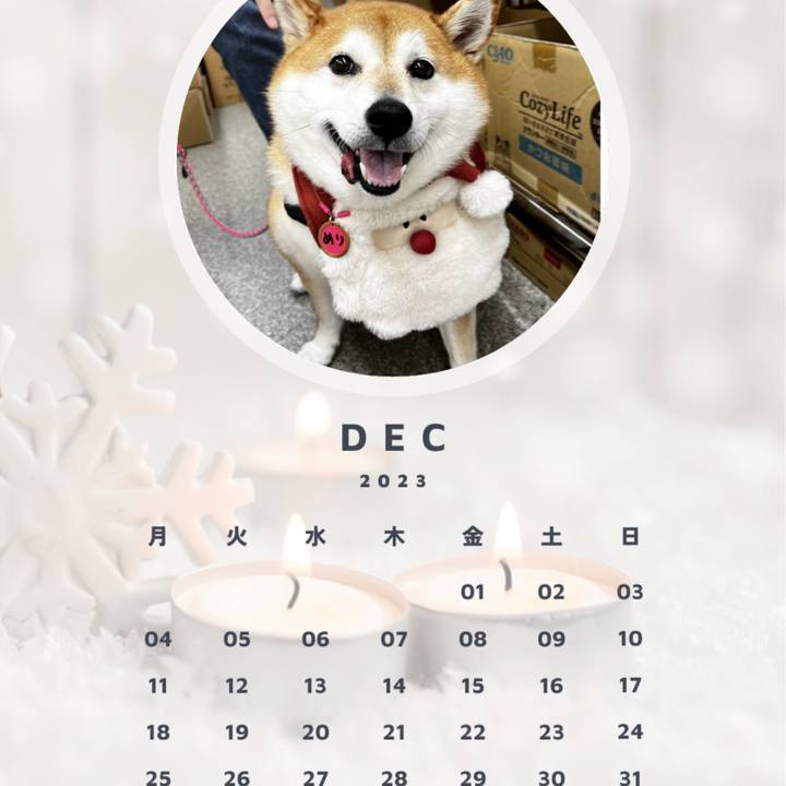 92611208 b9b4 4b98 a441 ae7eeff7fca0 1702573475637