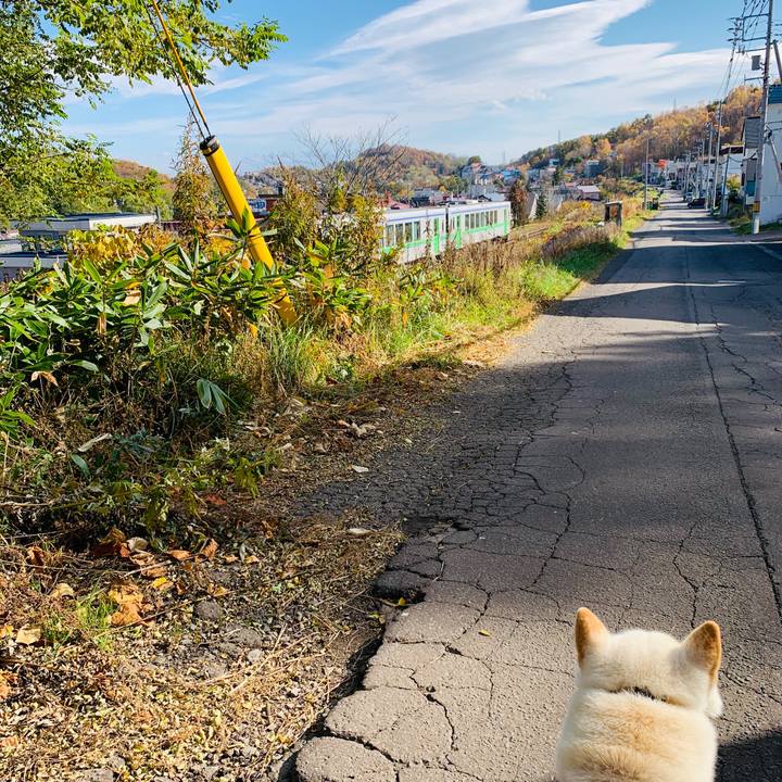 9261375d f200 4577 9456 8d9750ae3dfc 1572317174463