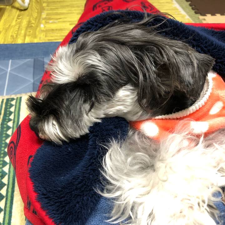 926138cb d23c 4f34 84a3 b1eba3421903 1705412927113