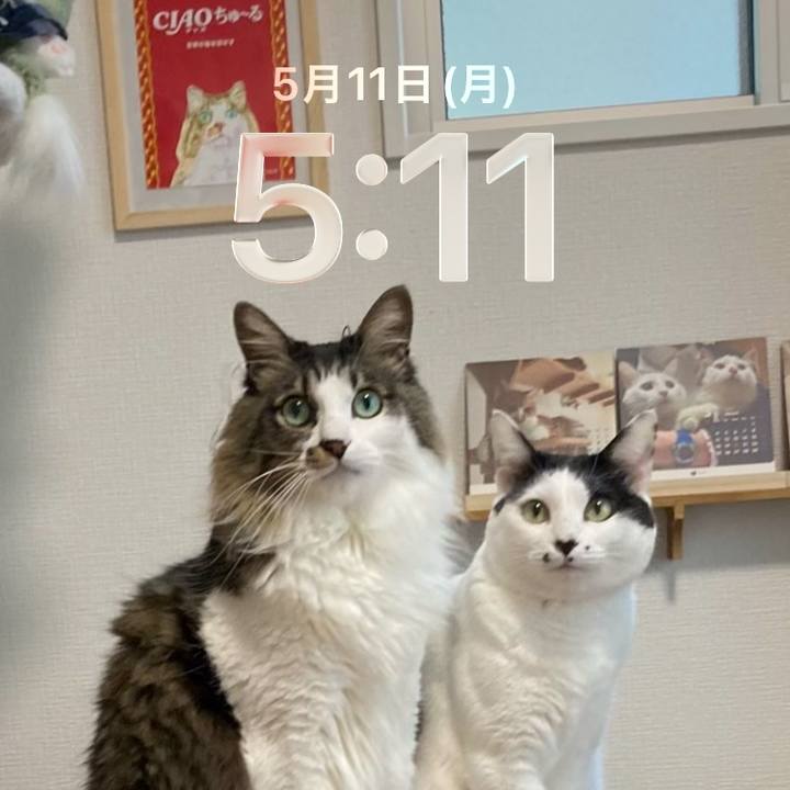 92614561 712c 4b75 bd6b c99ef3d345d0 1778443957846