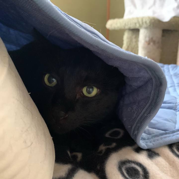 92614680 5171 4742 a83e e6a83cff8ede 1539392451816