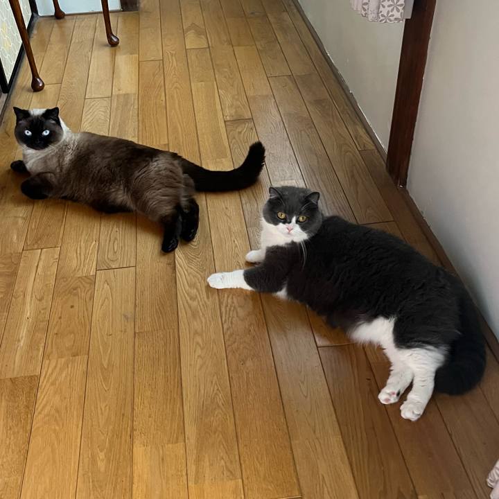 92616702 475a 466b 8569 5d4a38046be4 1653701686569