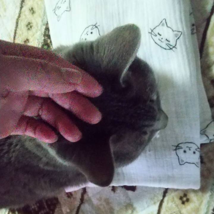 9261aa73 930c 4634 8910 29ca905f0126 1675204095898