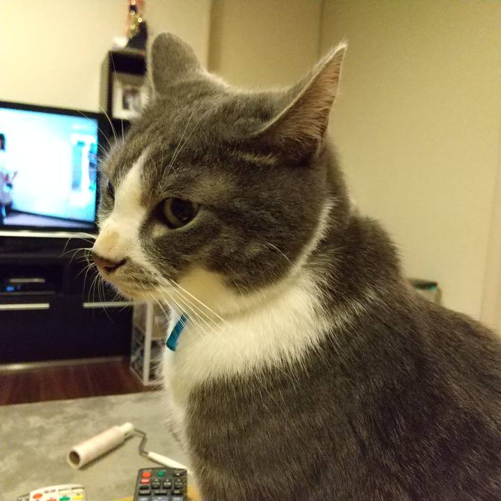 9261b78d a897 4526 bd99 8a605c631730 1606911504258