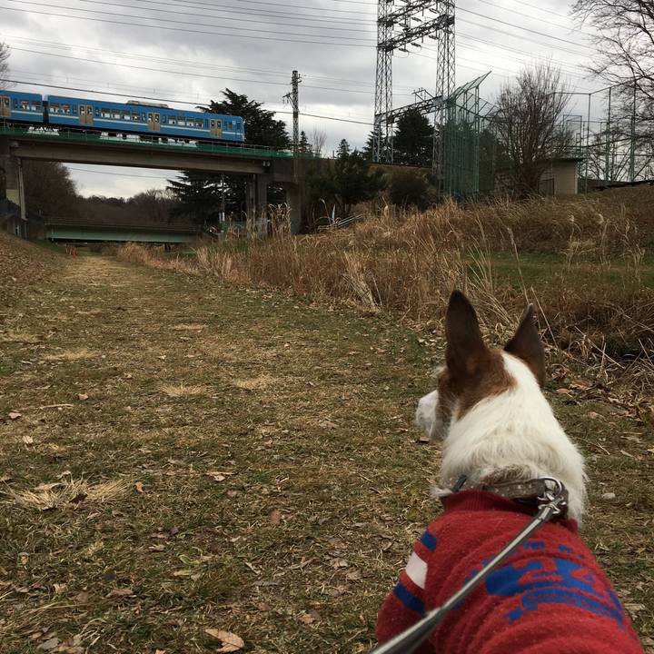 9261c9b6 1d00 4d2a b9f9 a8caa8b03dc9 1611012700840