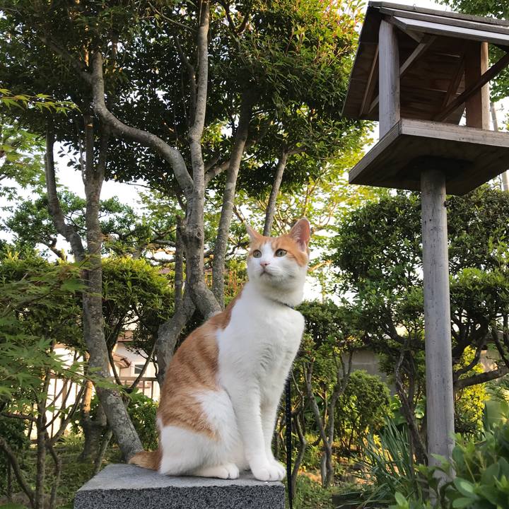 9261e0fb f960 4a3c 86ba 2435368b2842 1528041607943