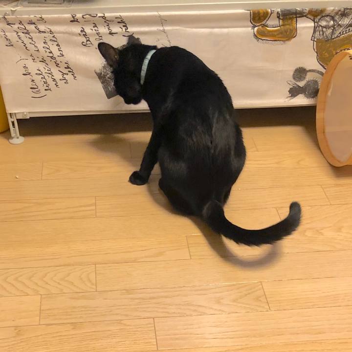 9262302f 9068 4f02 80af 24a8c6e4ce3a 1569506301307