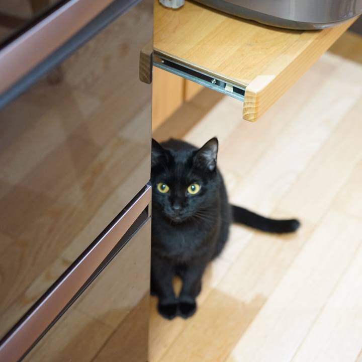 9262339f 2680 406b 8556 e9f9859d3ea1 1555337743870