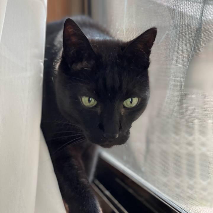 92625e24 2302 48d6 9a31 6371095fe122 1652840532361