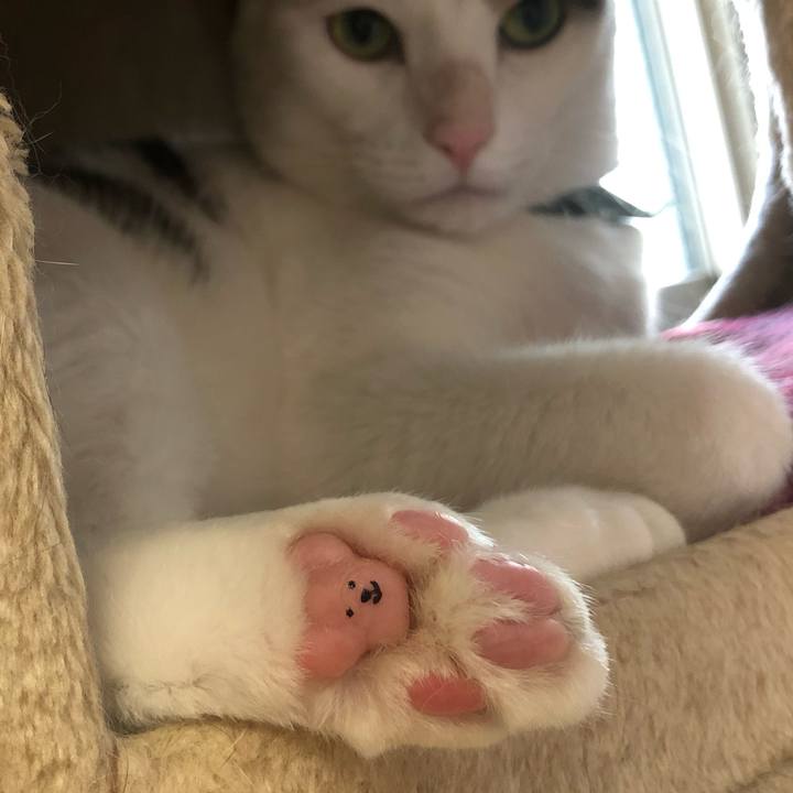 92627203 2299 43c1 a8f9 3e8233f2f181 1598239038763