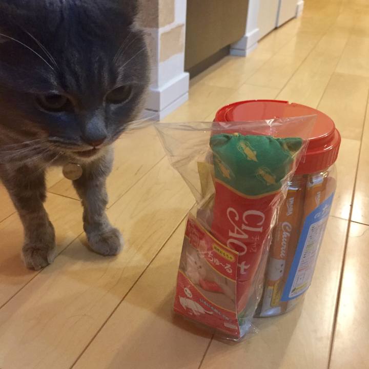 9262c9a0 2200 40e4 8f02 f9f15eef7eb2 1514118457745